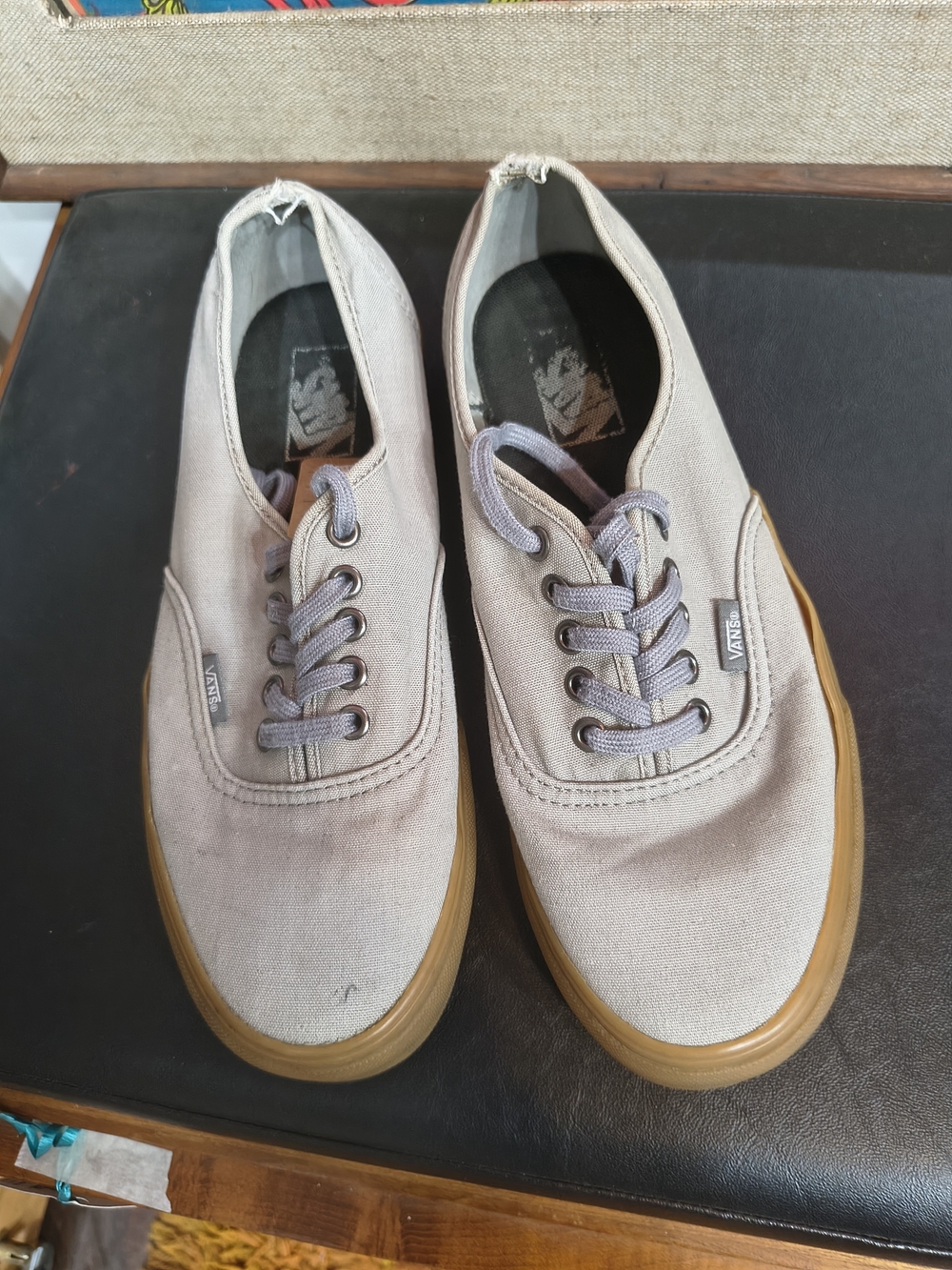 Vans Men’s Canvas Low-Top Sneakers in Light Taupe with Gum Sole